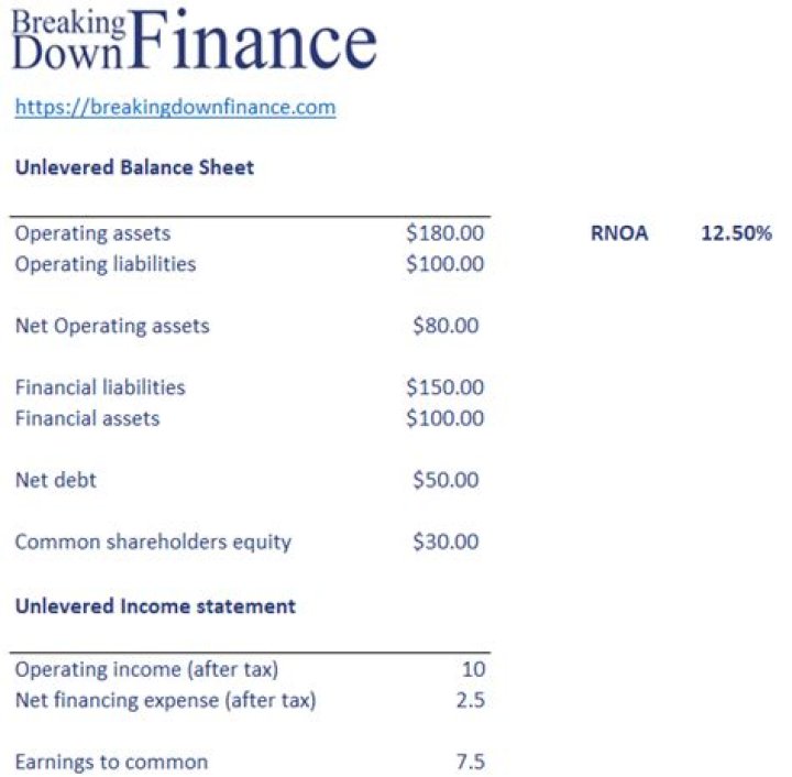 How do you calculate return on net operating assets?