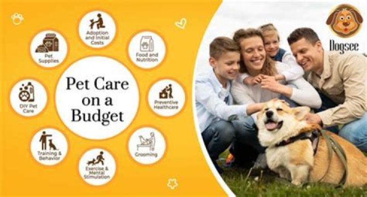 How do you care for a dying bumble bee?