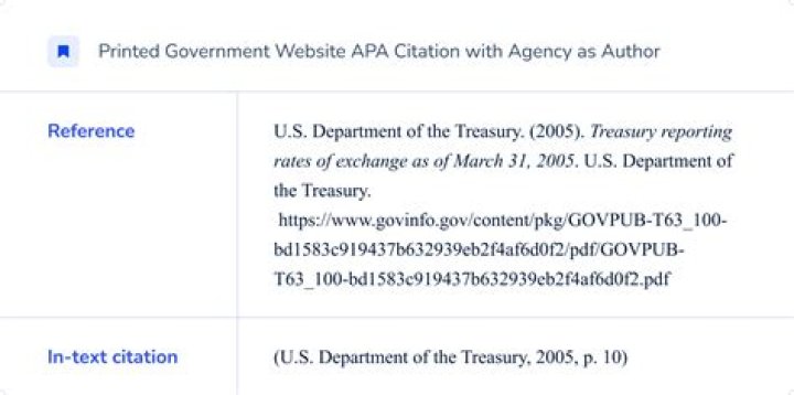 How do you cite a government submission?