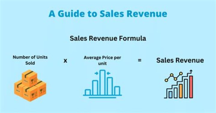 How do you describe sales revenue?