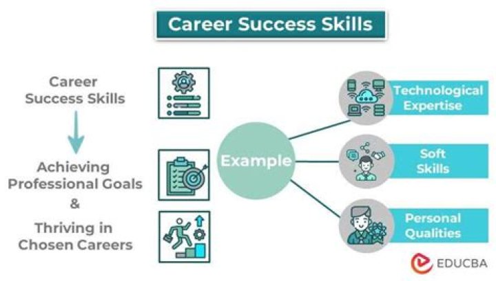 How do you describe your career success?