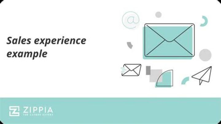 How do you describe your sales experience?