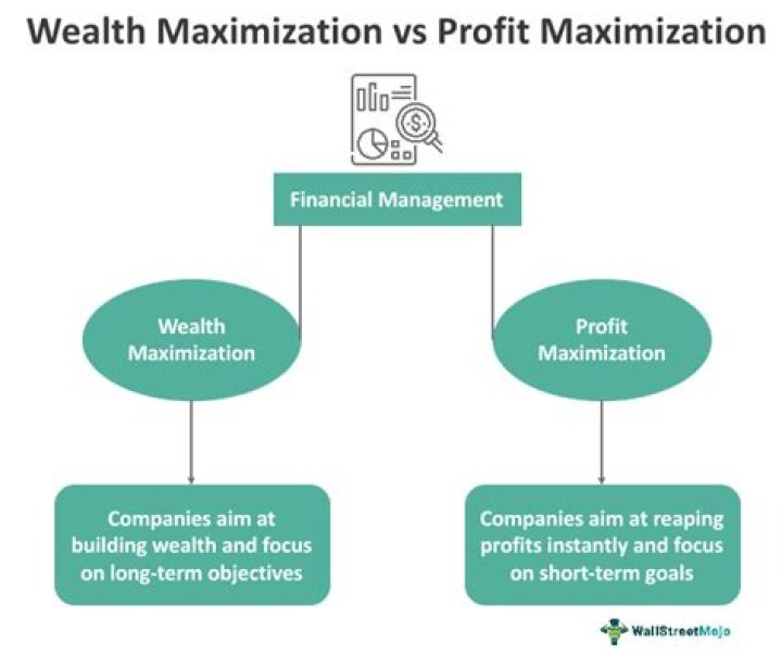 How do you differentiate between profit maximization and value maximization?