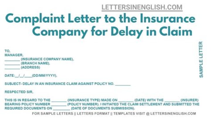 How do you file a complaint against an insurance company in Florida?