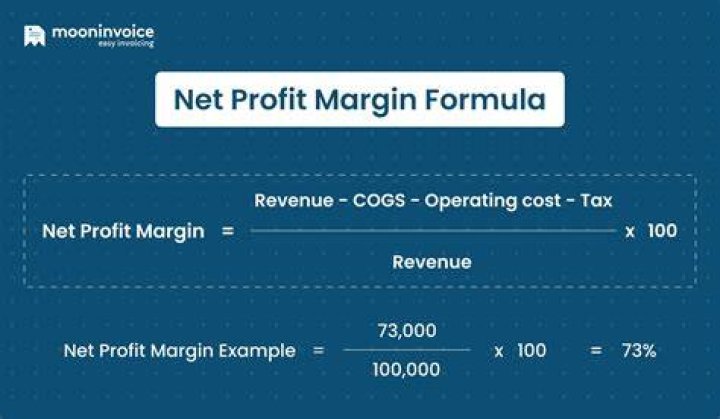 How do you find the profit margin?