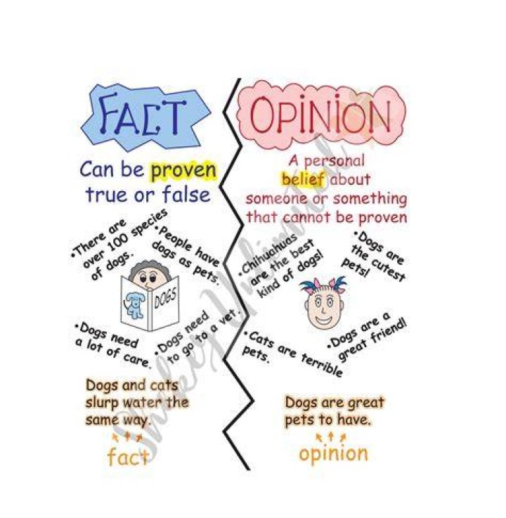 How do you know if its a fact or opinion?