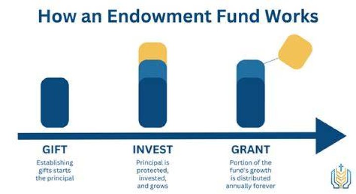 How do you record an endowment fund?