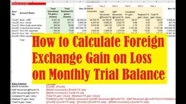 How do you record foreign exchange gain or loss on balance sheet?