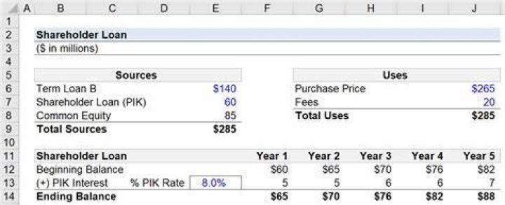 How do you record shareholder loans?