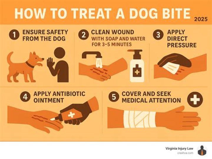 How do you reduce swelling from a dog bite?