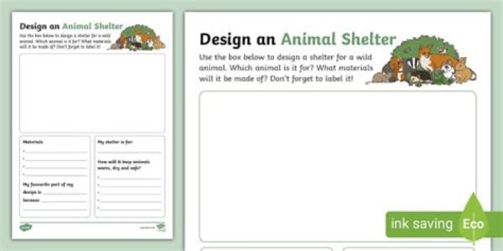 How do you start an animal shelter for kids?