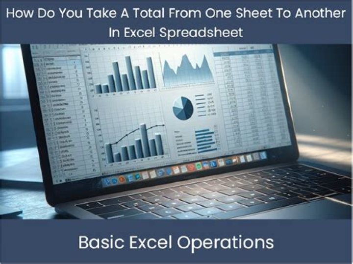 How do you take a total from one sheet to another in Excel spreadsheet?