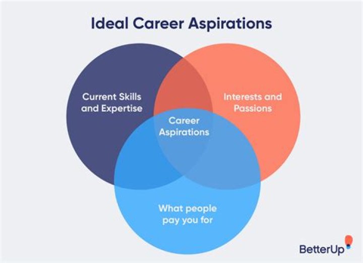How do you talk about your career aspirations?