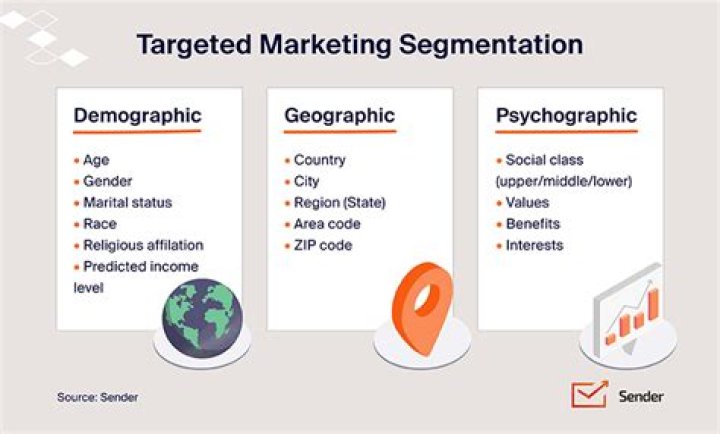 How do you use demographics in a sentence?
