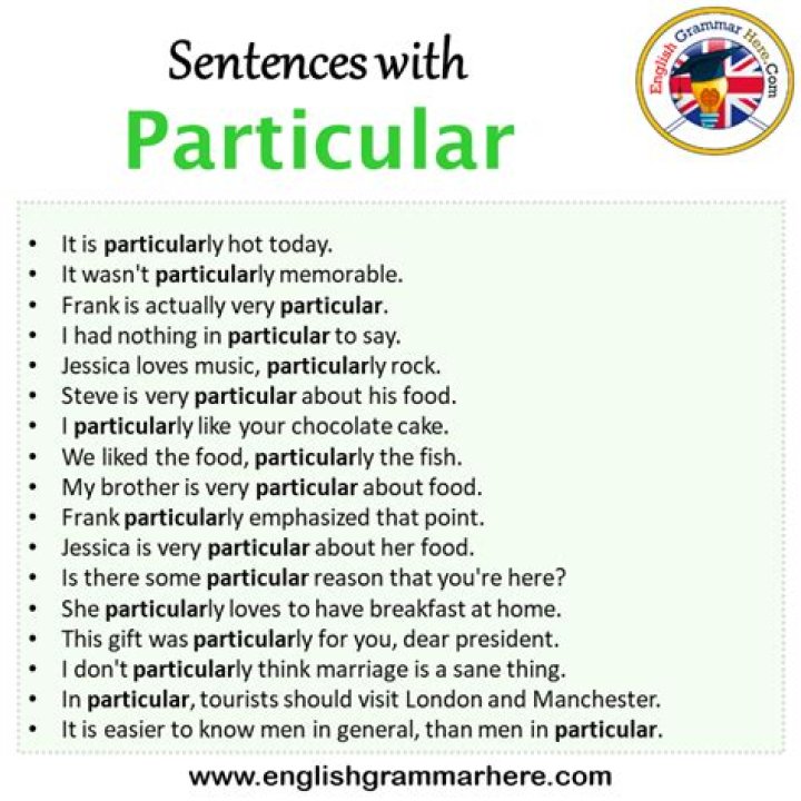 How do you use particular in a sentence?