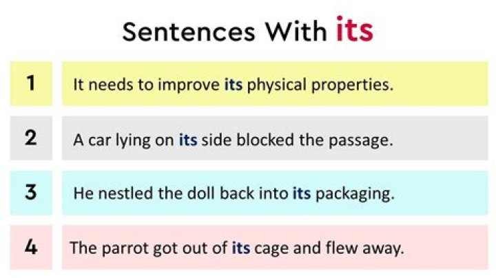 How do you use vanguard in a sentence?