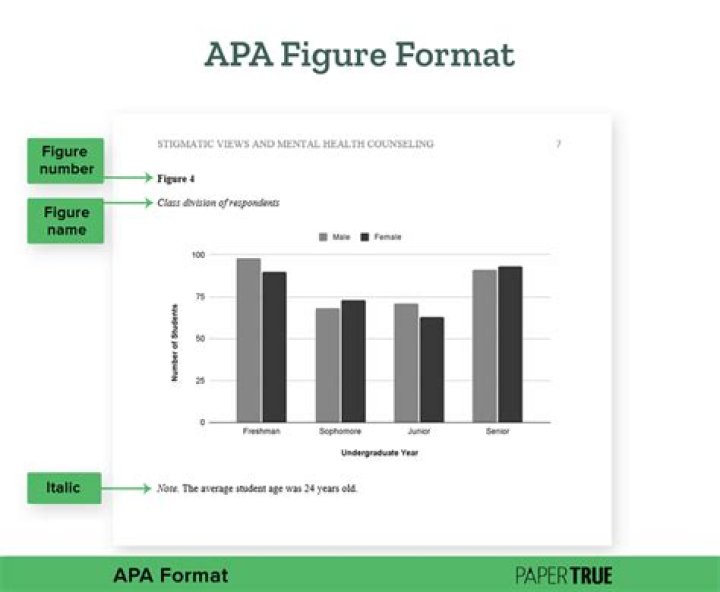 How do you write the figure of a report?