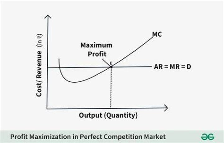 How does a business in a perfectly competitive market determine its output?
