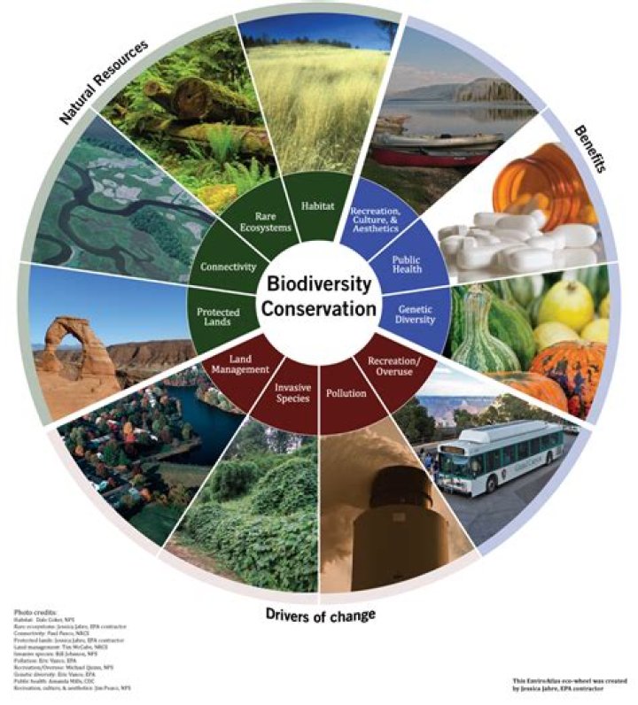 How does conservation benefit the environment?