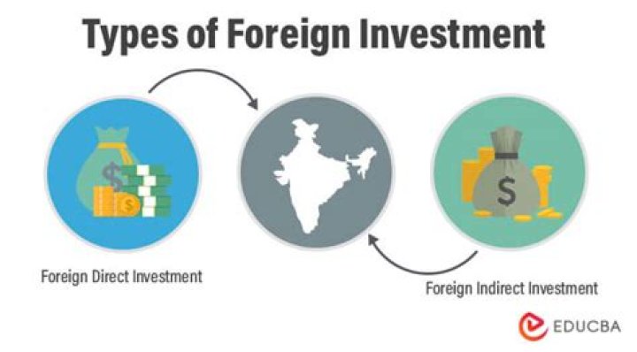 How does foreign investment affect the economy?