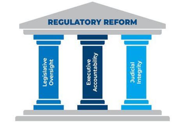 How does government regulate business?