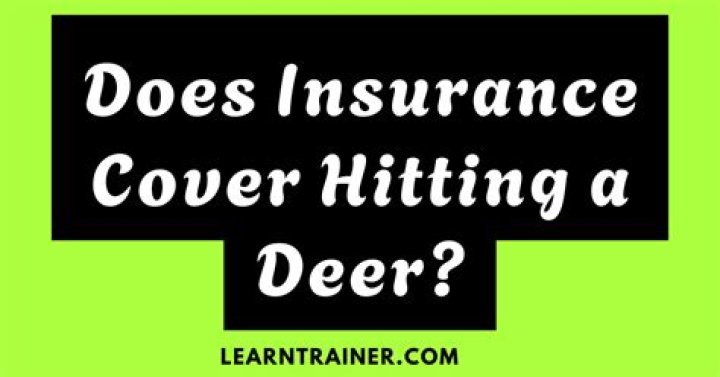 How does hitting a deer affect your insurance?