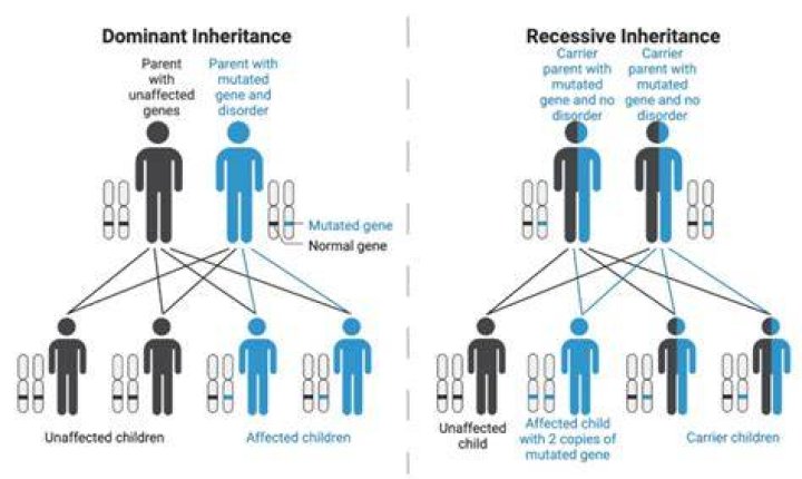 How does inheritance trust work?