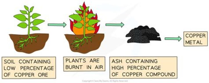How does Phytomining obtain copper?