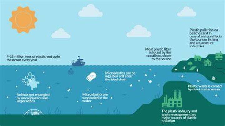 How does pollution affect the economy?
