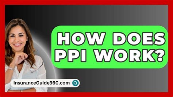 How does PPI insurance work?
