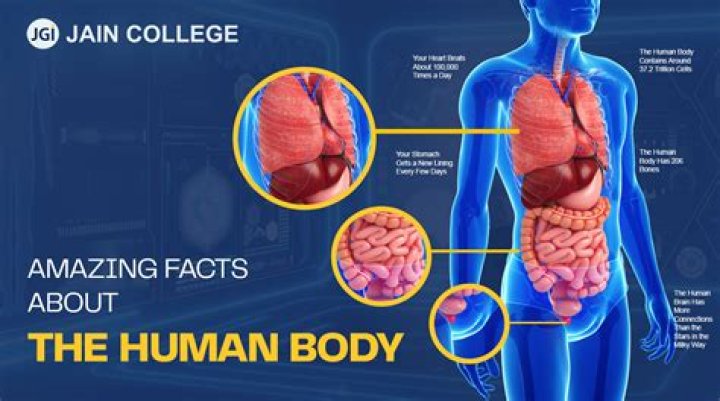 How does silver effect the human body?