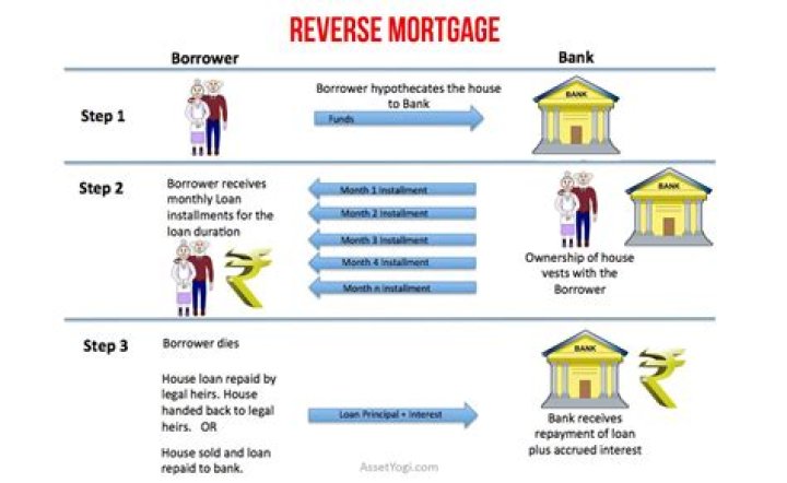 How does the government reverse mortgage work?