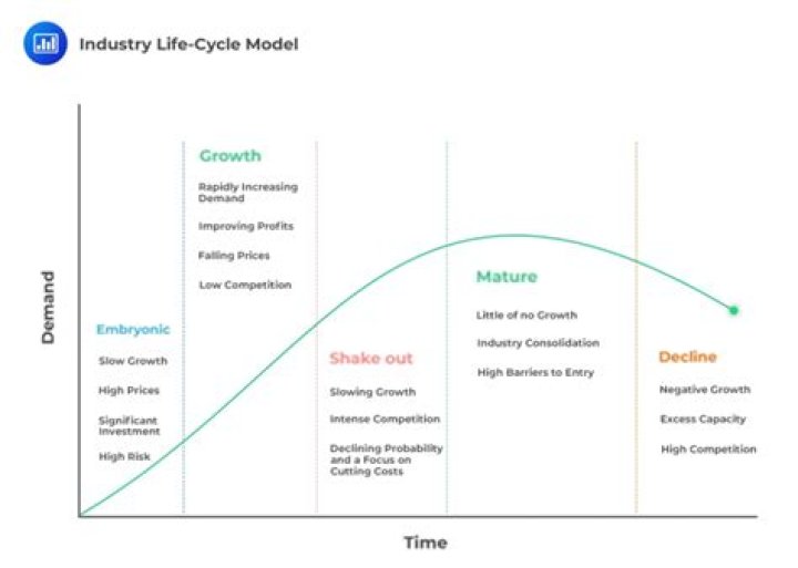How does the industry life cycle affect business strategy?