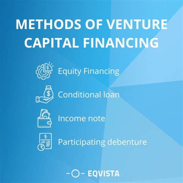 How does venture capital financing assist new entrepreneur?