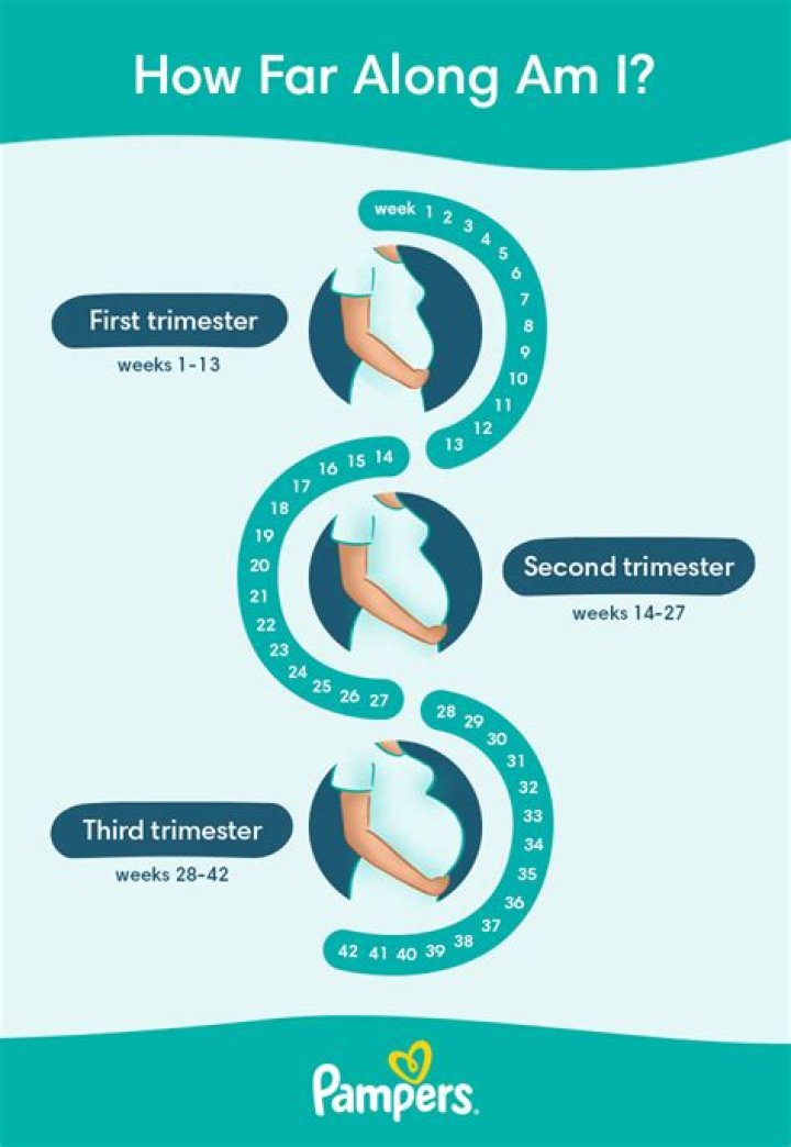 How far along am I based on ultrasound?