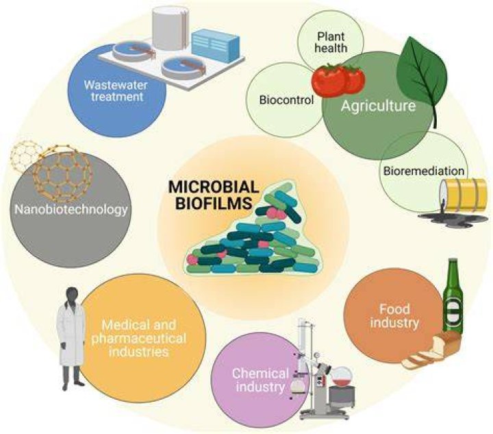 How is biotechnology used for food?