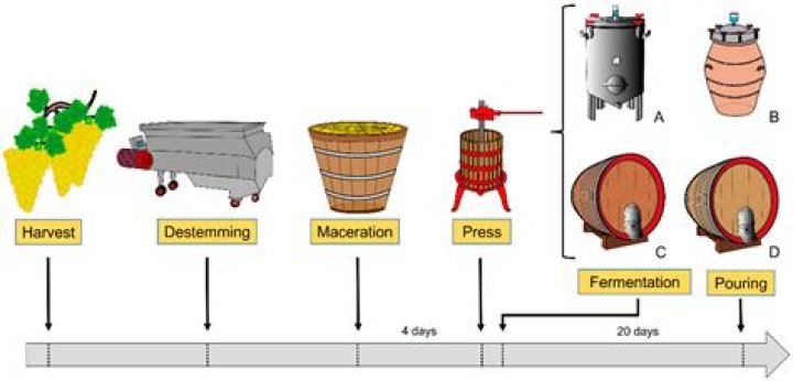 How is fermentation used in the food industry?