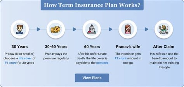 How is term insurance calculated?