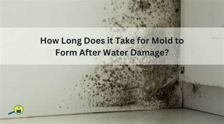 How long does it take mold to form from rain damage?