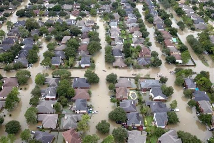 How many cars did hurricane Harvey destroy?