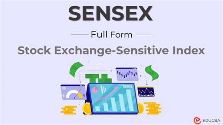 How many companies take for the purpose of Sensex?