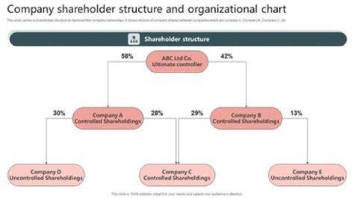 How many shareholders can a company have under Subchapter S?