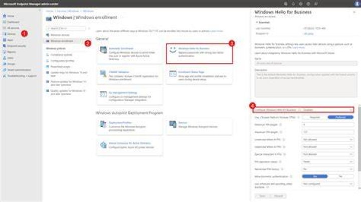 How many users can enroll for Windows Hello for business?