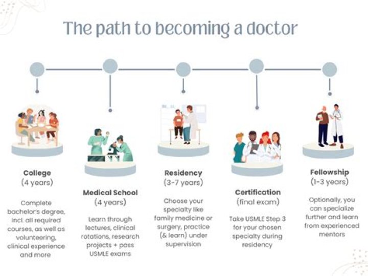 How many years do doctors work before retirement?