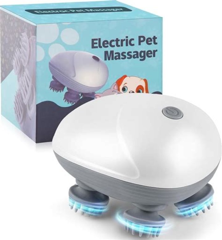 How much do dog massagers make?