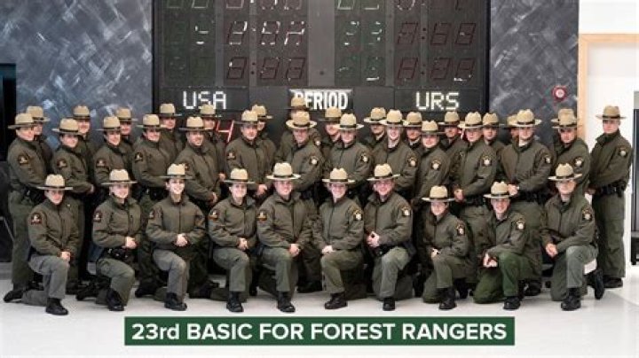 How much do Forest Park Rangers make?