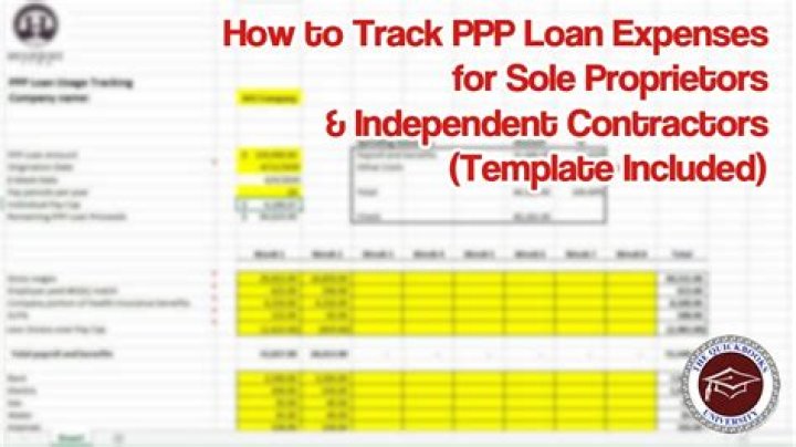 How much do sole proprietors get for PPP?