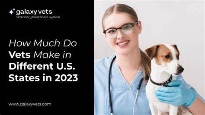 How much do vets assistants make a year?