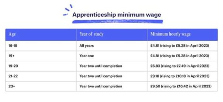 How much do you get paid as a swim instructor?