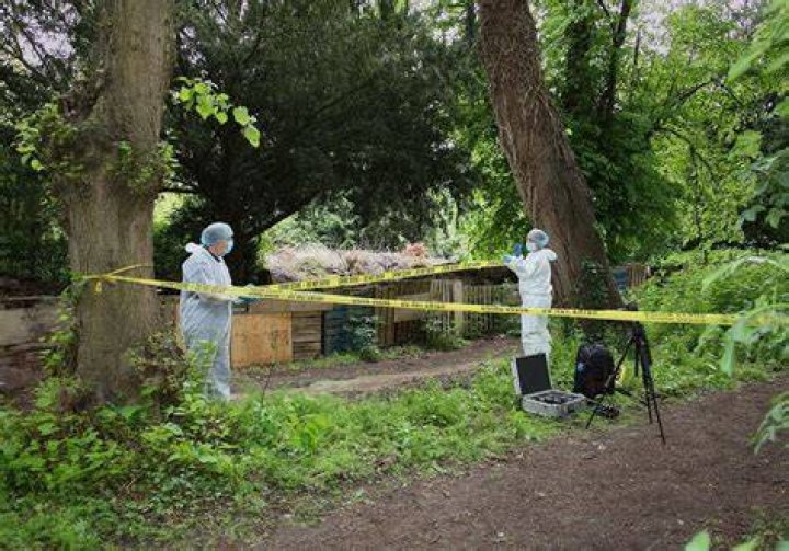 How much does a CSI agent make a year?